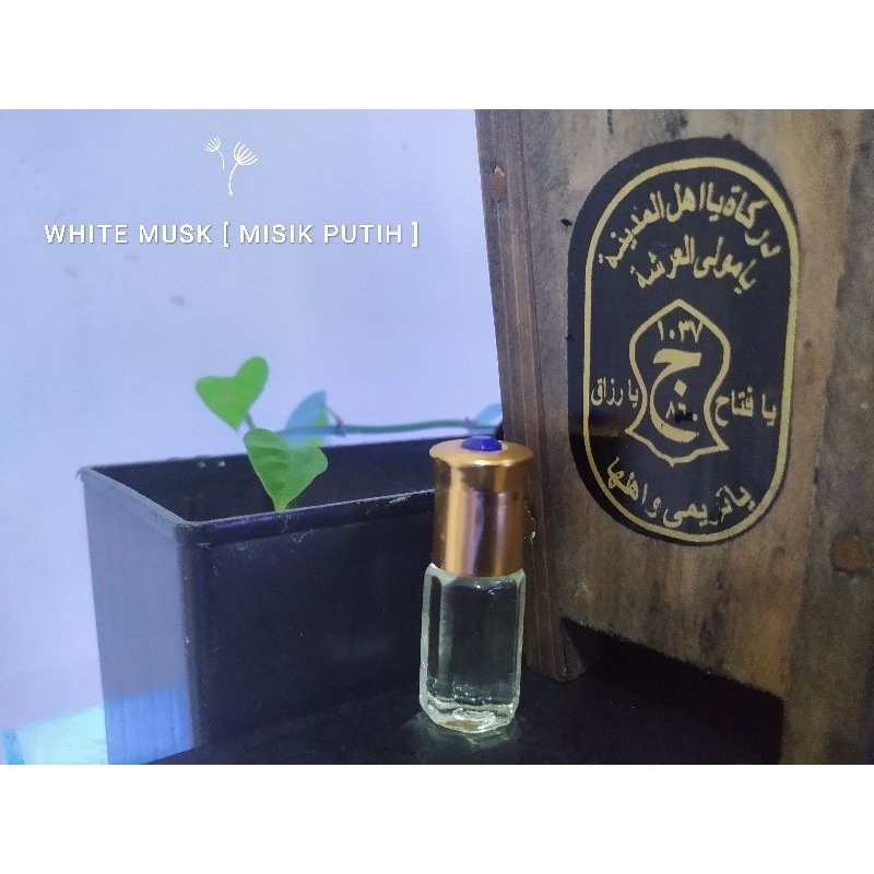 TERMURAH | Misik Putih Original