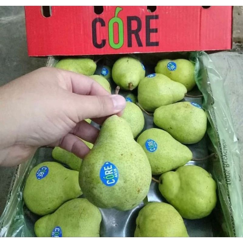 

Pir Packham atau Pir Hijau Impor 500gr - 1000gr