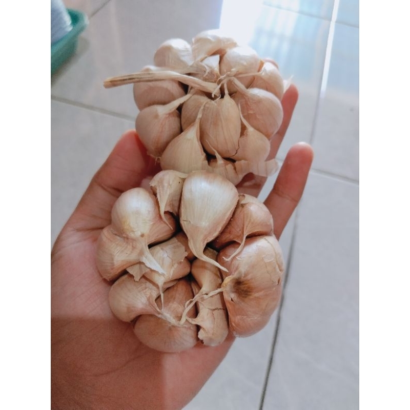 

bawang putih 1 kg