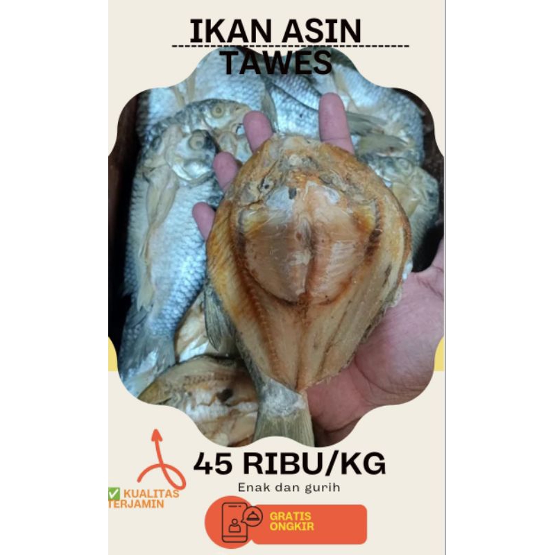 

IKAN ASIN BELAHAN TAWES. SUPER JUMBO. 500g.1KG..IKAN ASIN BRKUALITAS.