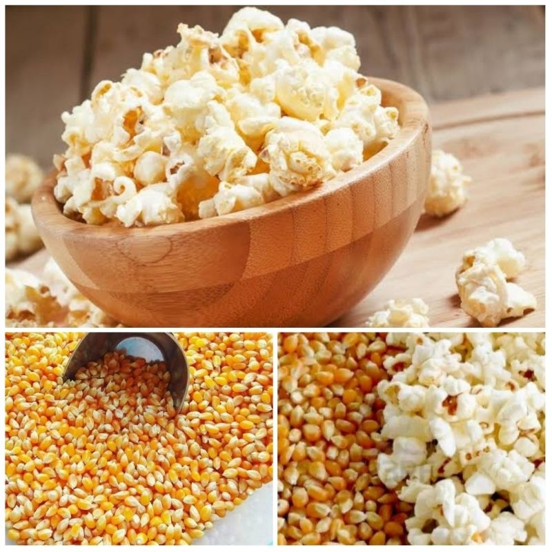 

JAGUNG POPCORN