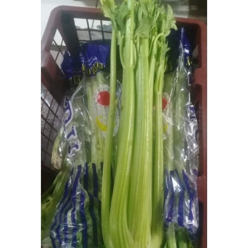 

celery stick import / seledri stick import segar 1 kg