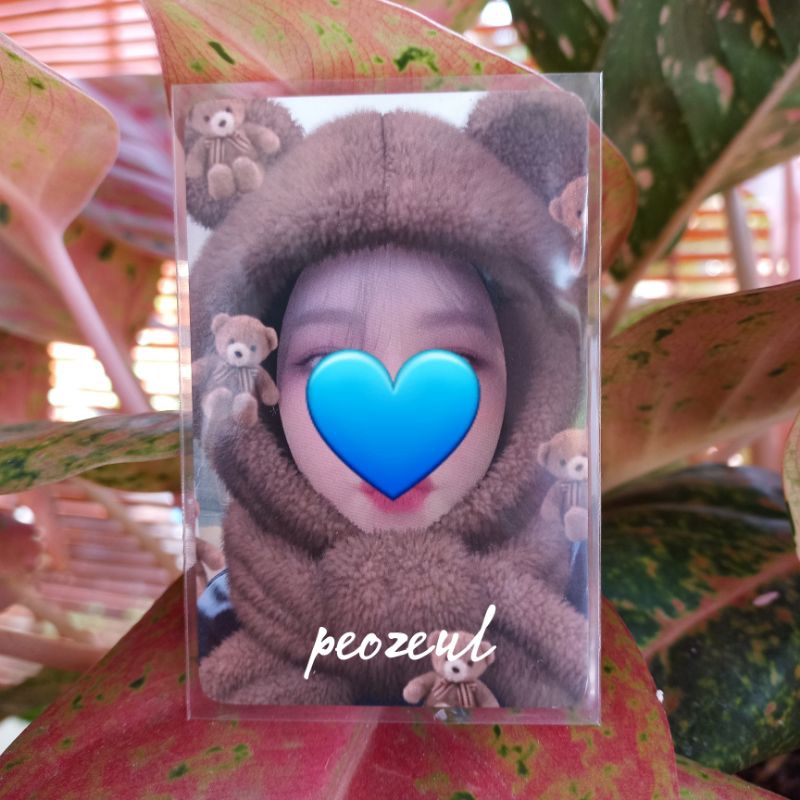 PC Photocard Wendy Dear U Letter Month 11 Bubble Red Velvet