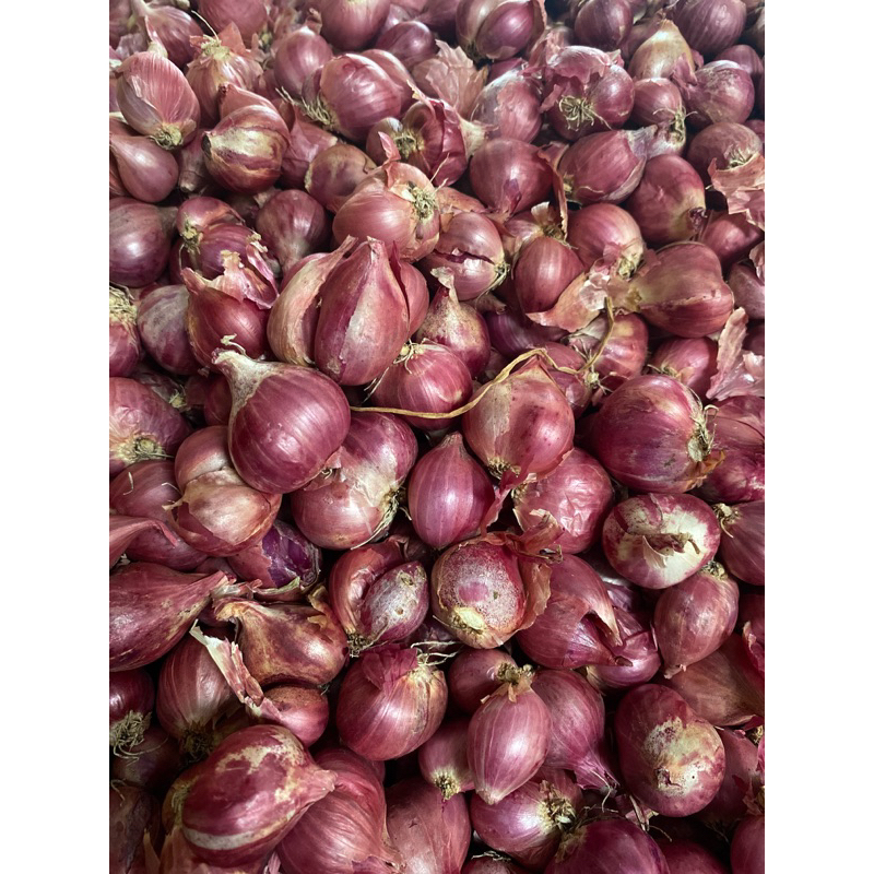

BAWANG MERAH NGANJUK