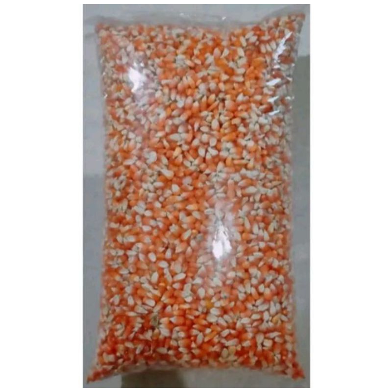 pakan burung merpati jagung kristal || pakan burung dara || 1kg