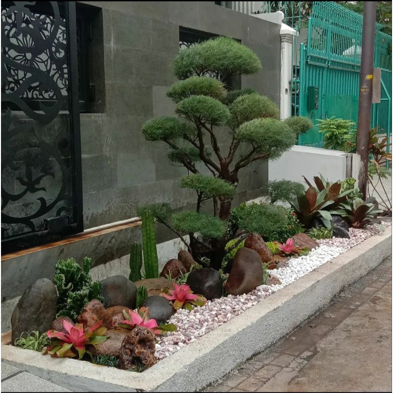 pembuatan taman kering batu koral