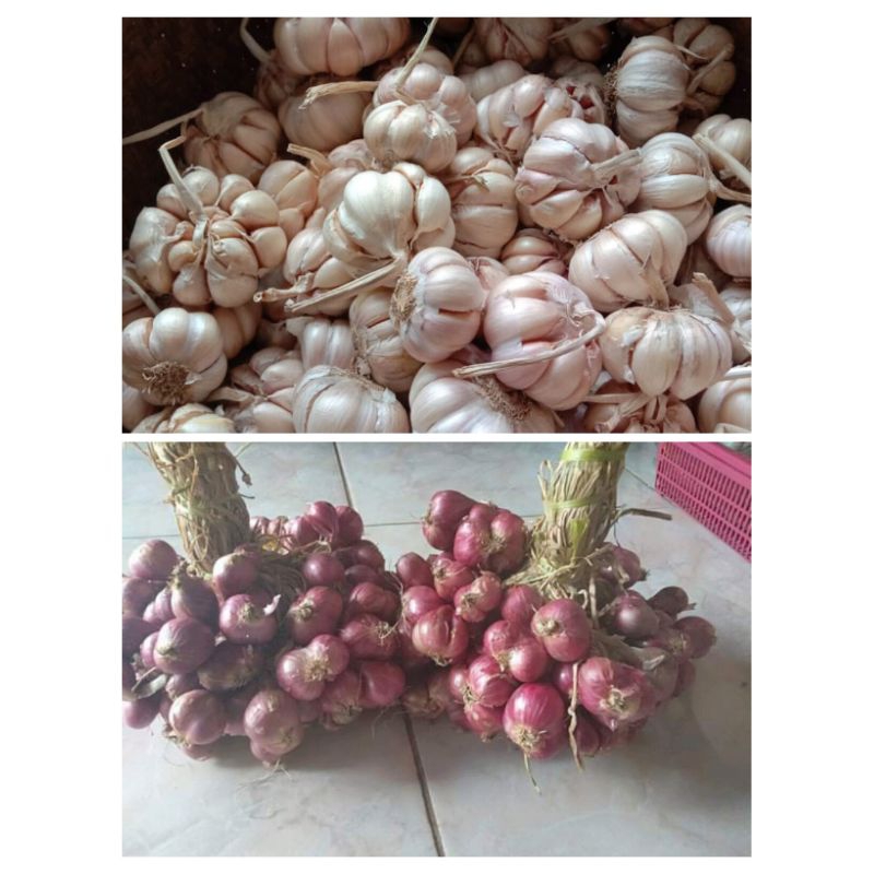 

bawang merah 1kg bawang putih setengah