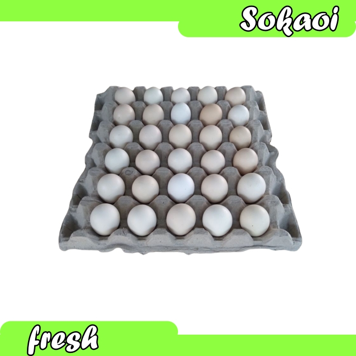 

TELUR KAMPUNG 1 KRAT ISI 30 BUTIR