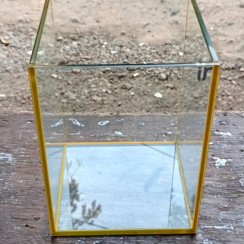 soliter cupang 15x15x20 yellow standarglass