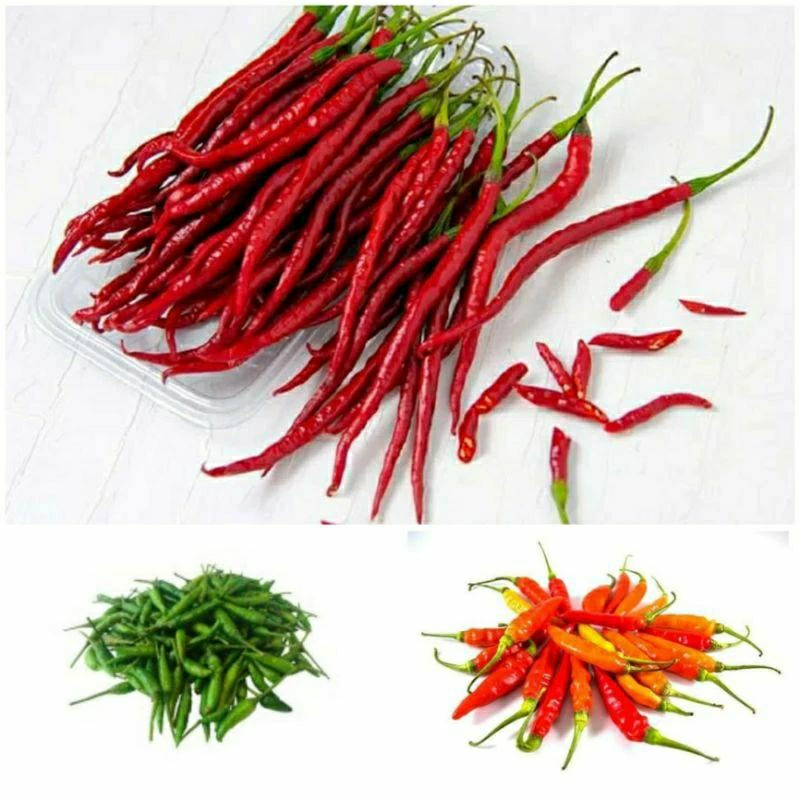 

CABE KRITING /CABE RAWIT/CABE RAWIT HIJAU [KIRIM INSTAN]