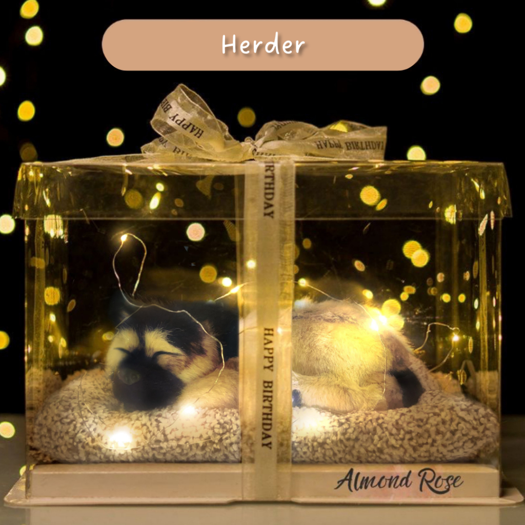 HERDER - Hampers Boneka Tidur kado cewe kado pacar hadiah kado boneka kucing kucing arang bambu bone