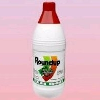 Roundup 1 Liter Pembasmi Rumput