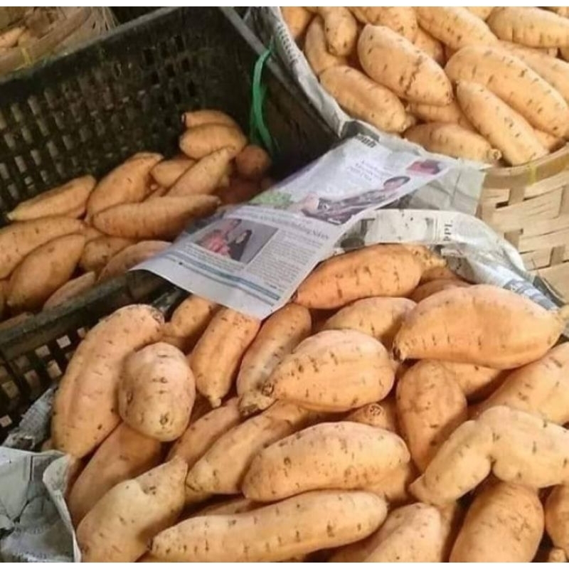 

Ubi Cilembu Mentah 500 gram