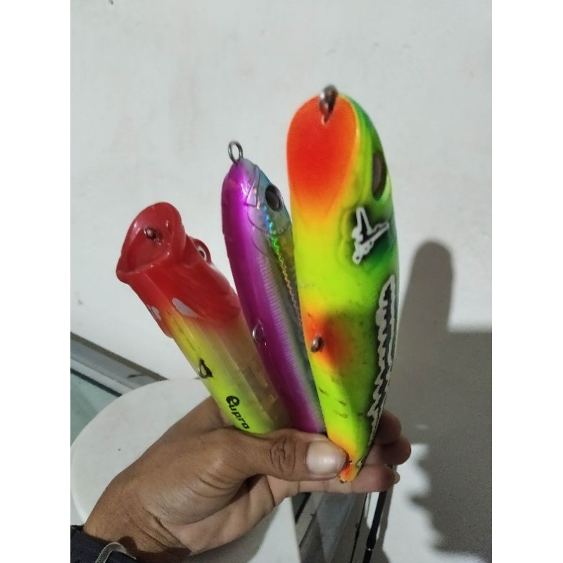 Dennis Popper, Hinomiya Stickbait dan Eupro Popper