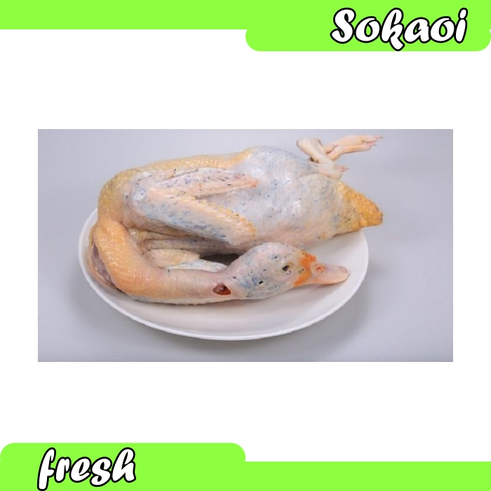 DAGING BEBEK SEGAR JUAL PEREKOR