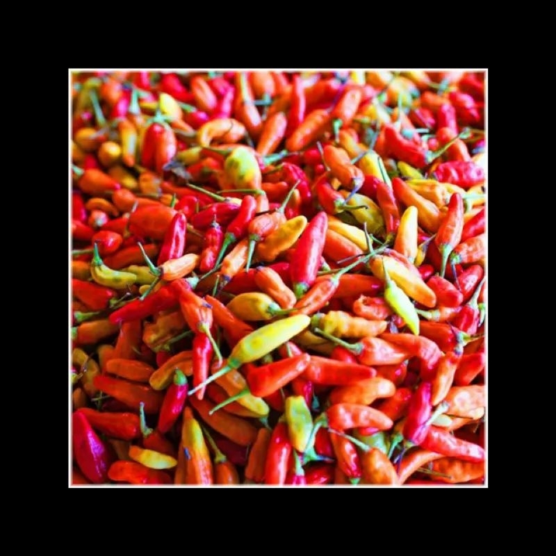 Cabe Setan 1kg