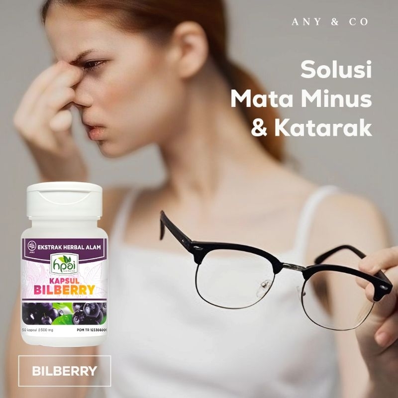 BILBERRY OBAT KESEHATAN MATA MENCEGAH KATARAK GLAUKOMA
