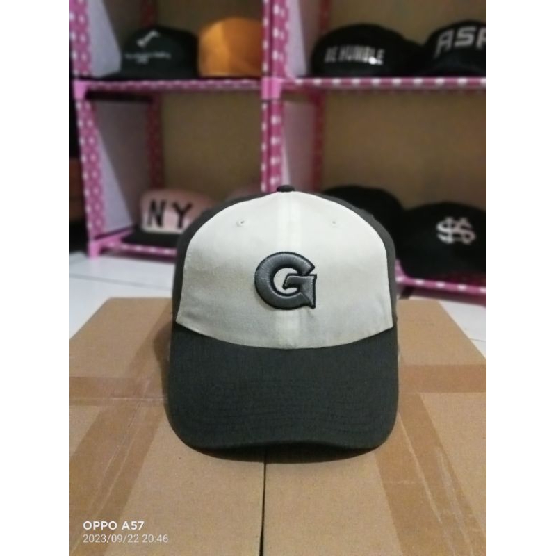 Topi Baseball Georgetown