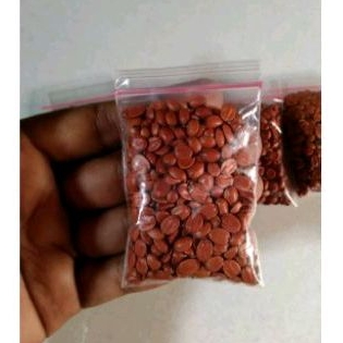 

Biji Bidara Arab (SIDR) Siap Tanam, Biji Pilihan Bidara Arab