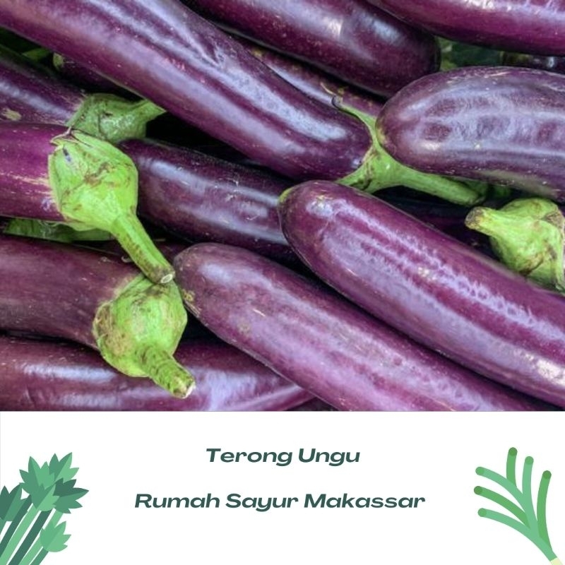 

sayur terong perbiji