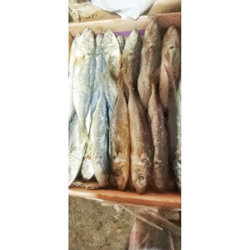 

200 gram IKAN ASIN , IKAN PEDA ASIN, IKAN PEDA SUPER BESAR