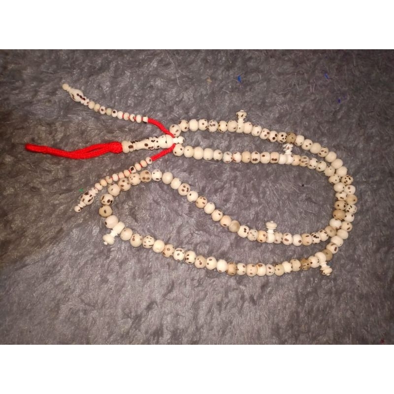 Oud Solib Maroko Size 12 mm Model Bulat Tijani Tasbih