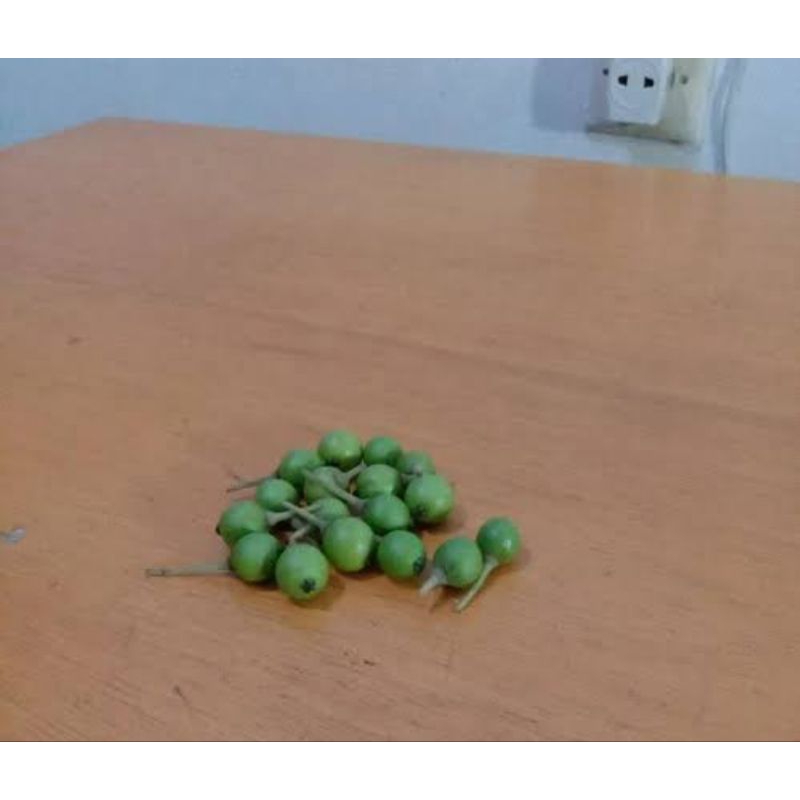 

Buah kersem muda berat 100g buah langka