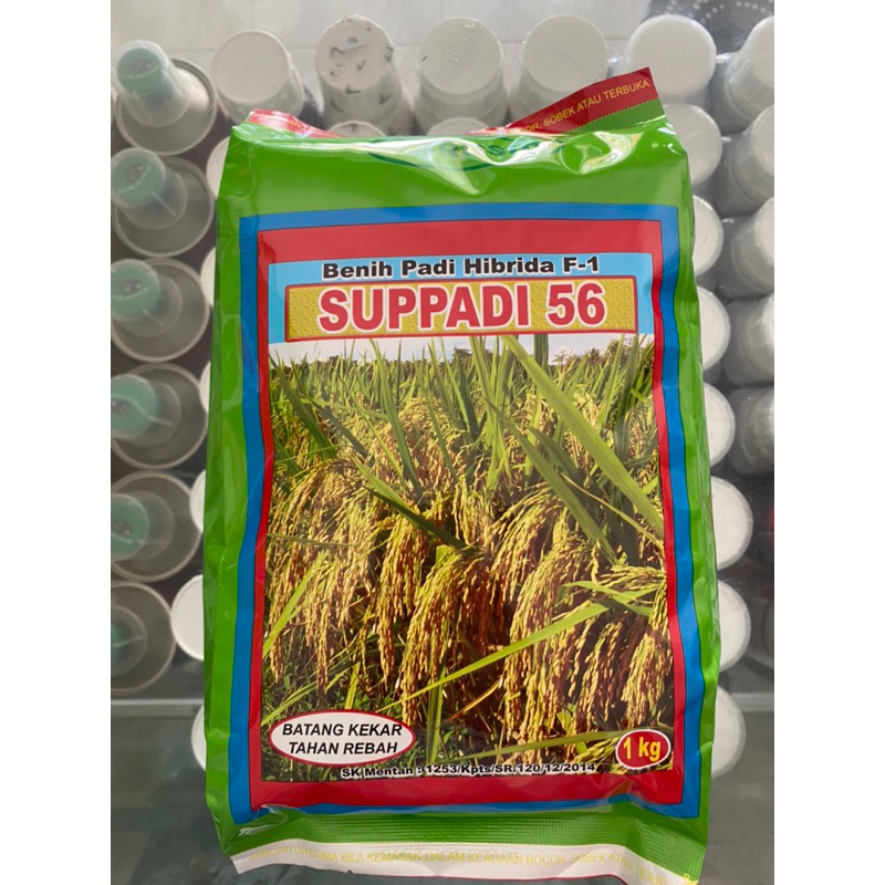 Benih padi SUPADI 56 HIBRIDA F1 Agrosid