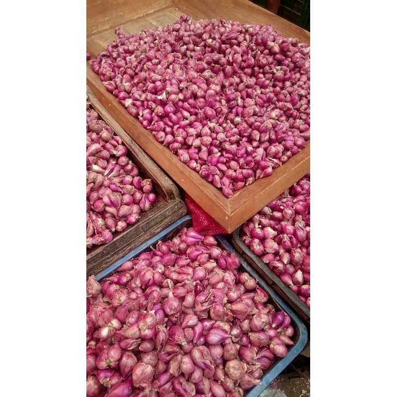 

Bawang Merah Besar /Super 1kg dan ½kg