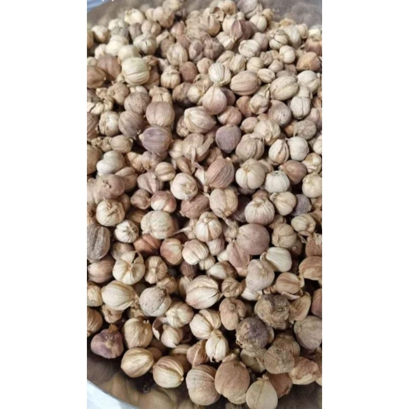 

kapulaga kering 50-100 gram