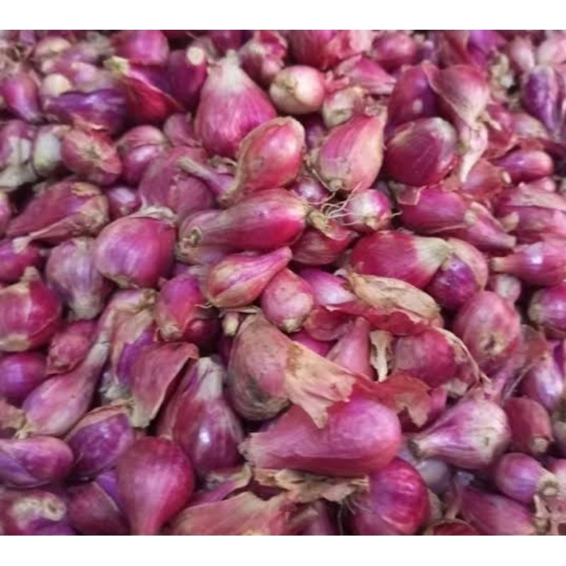 

bawang brebes 1kg