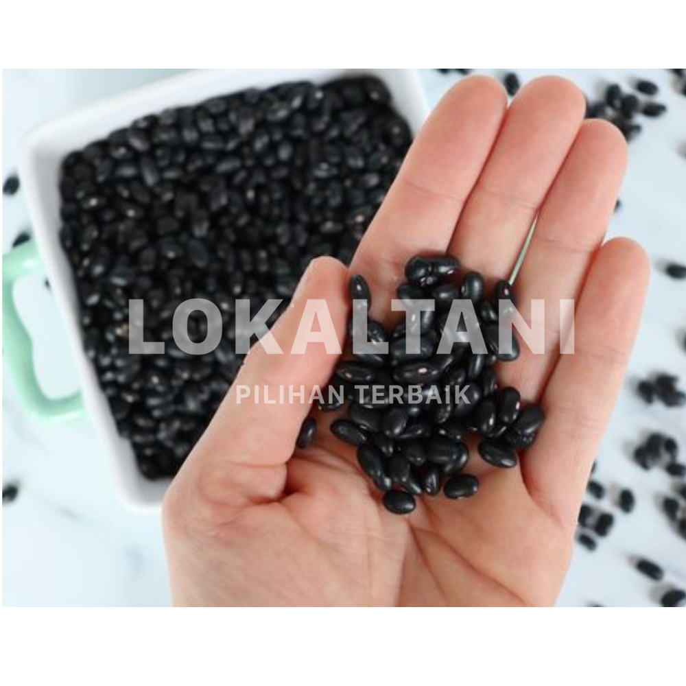 

Kacang Kedelai Hitam / Kedelai Hitam 1 KG Siap Masak