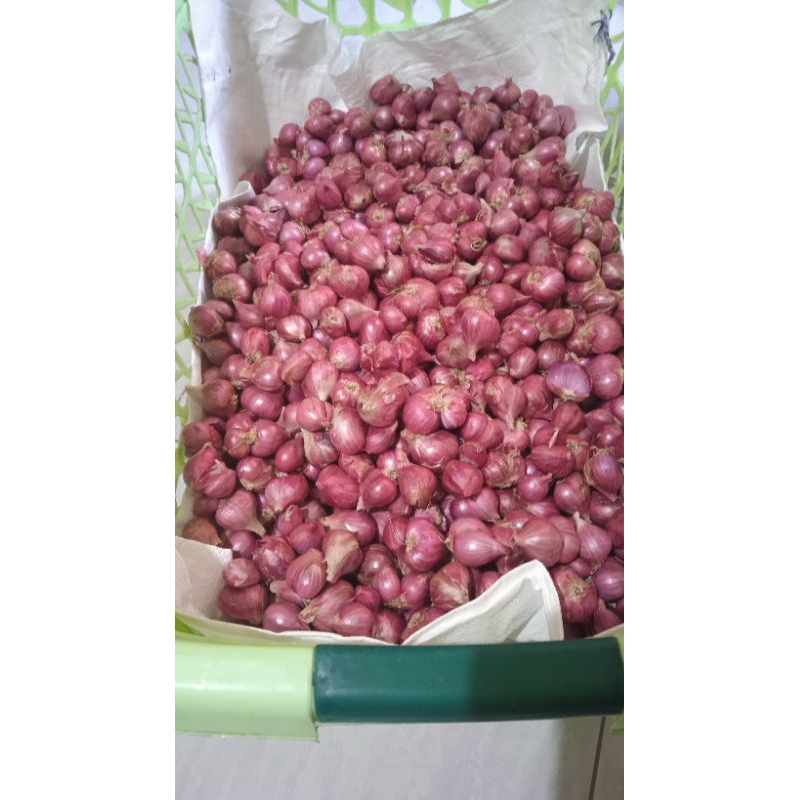 

Bawang merah superan