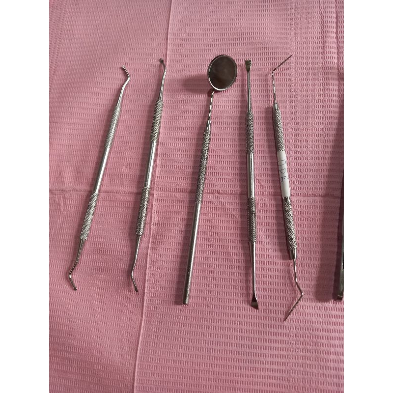 SCALER / Dental Scaler / Scaler Manual / Chisel Scaler / Wing /Hoe / Pembersih karang gigi