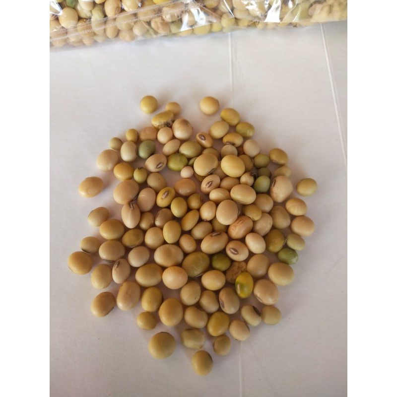 

Benih Kedelai Lokal 500gram