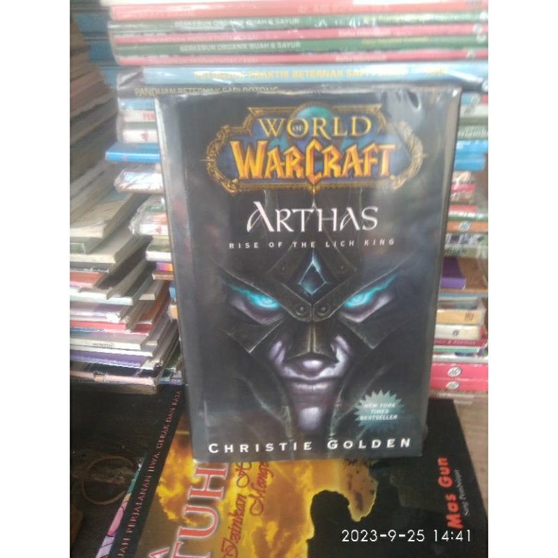 ORIGINAL ARTHAS Rise of the Lich King World of Warcraft Christie Golden