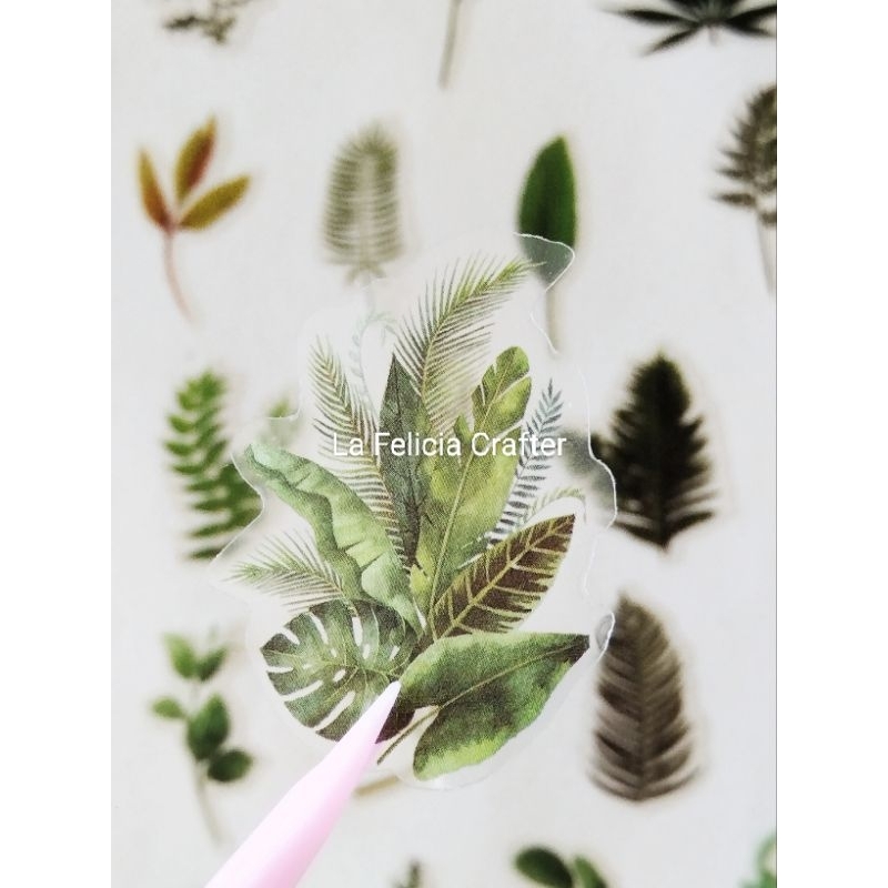 

La Felicia Stiker Daun Thoughts Of Fern Nature Series Untuk Jurnal
