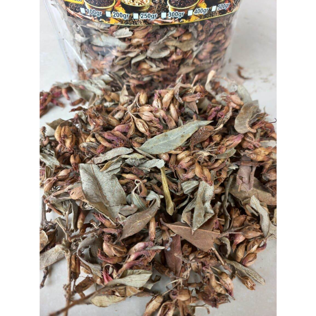 

MURAH HERBAL BUNGA SIDOWAYAH/WOODFORDIA FLORIBUNDA SALISB SITU SIKI DHUBAYA KERING-1 KG