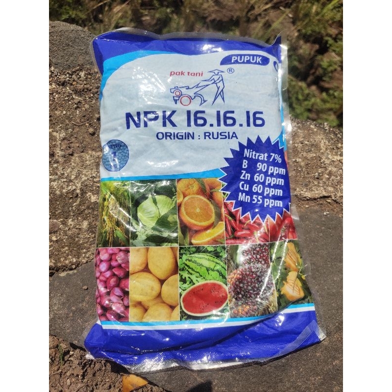 Pupuk NPK 16.16.16 ORIGIN RUSIA (Pak Tani)