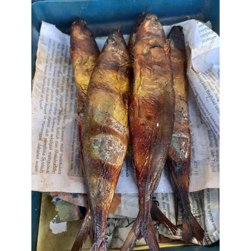 

ikan Asap layang//ikan asap ukuran sedang