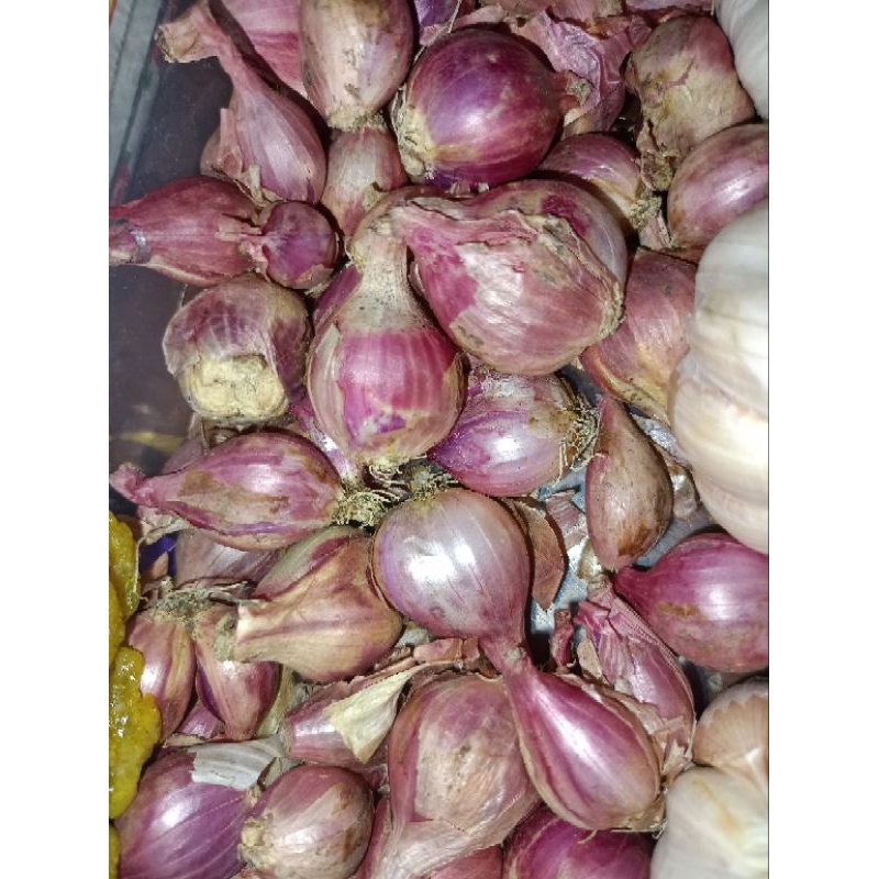 

Bawang merah /bawang putih