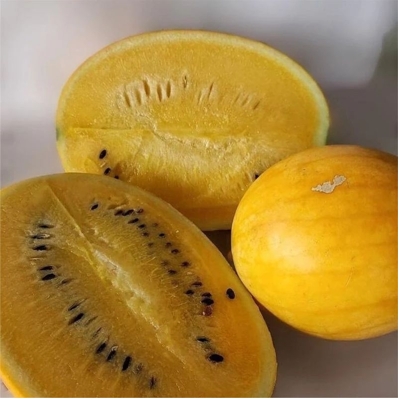

7benih semangka golden F1 bibit tanaman buah semangka inul