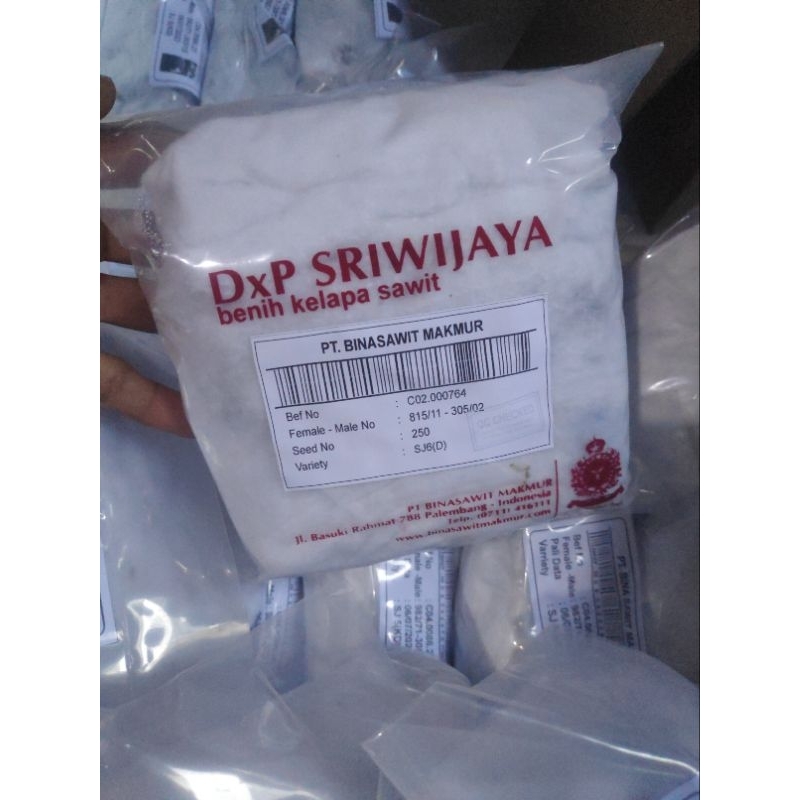 dxp Sriwijaya 5  kapas