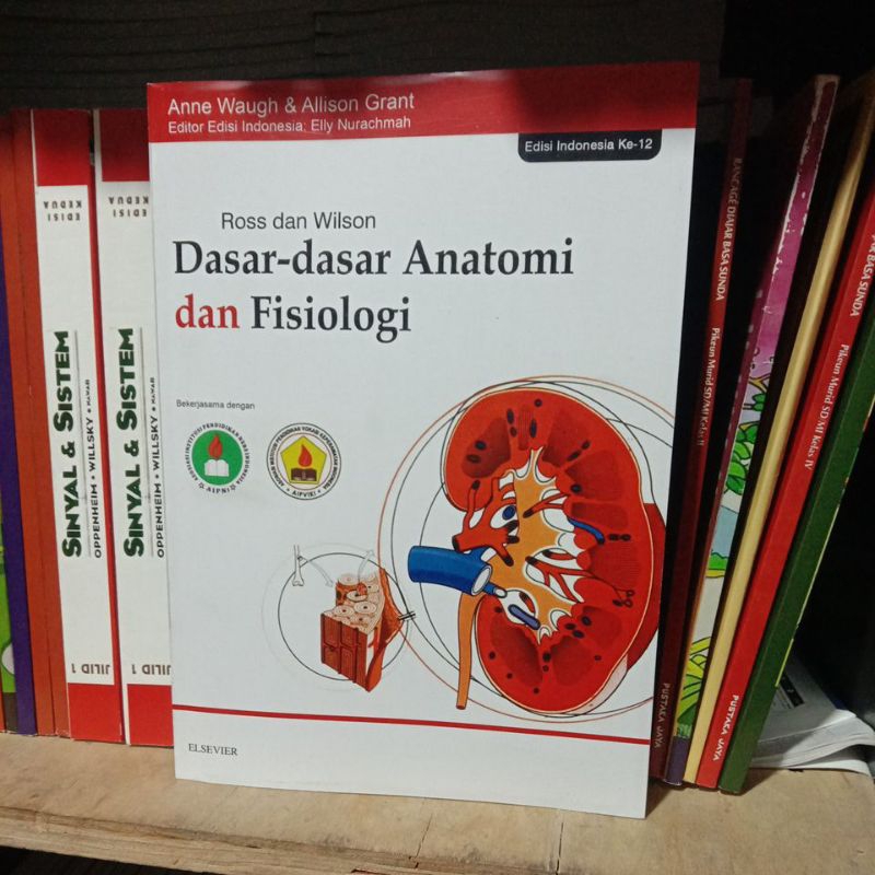 BUKU DASAR-DASAR ANATOMI DAN FISIOLOGI