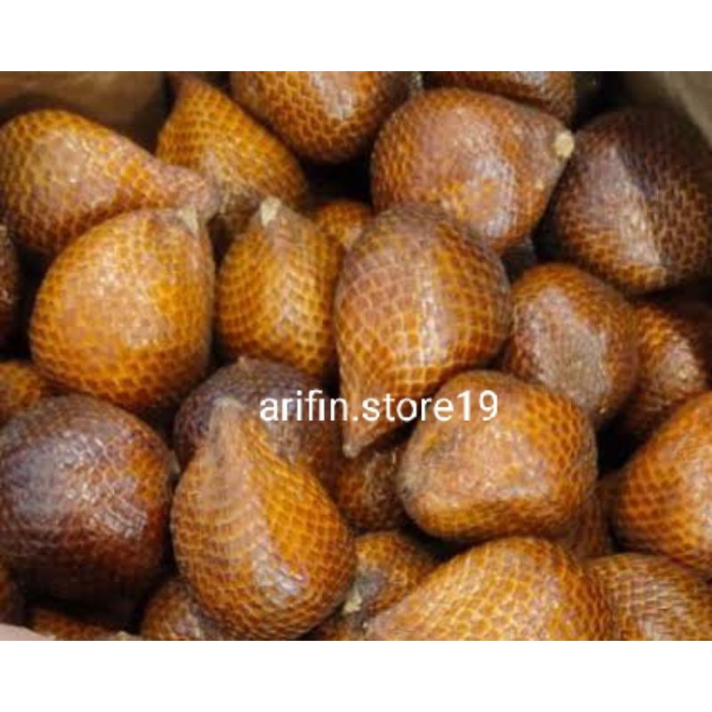

Salak Madu Sleman Yogyakarta /Kilogram