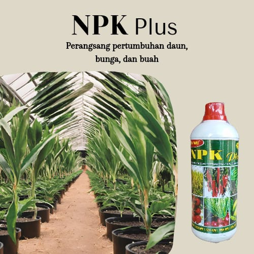 pupuk cair lengkap NPK pupuk cair npk plus zpt Pupuk NPK prima Anti Jamur 1 Liter