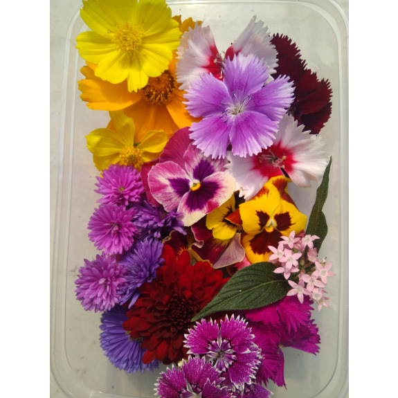 

BIG MIX EDIBLE FLOWER- KOMPLIT 12MACAM BUNGA