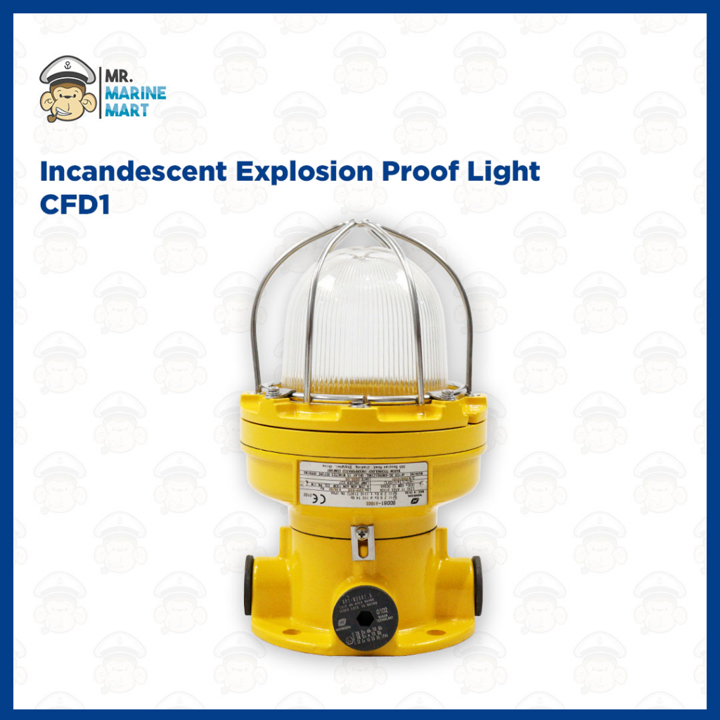 Explosion Proof Light CFD-1 220V/25-100W