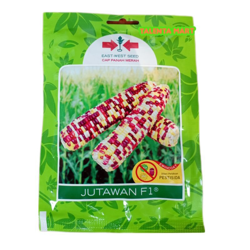 200 BUTIR BENIH JAGUNG KETAN PELANGI JUTAWAN F1
