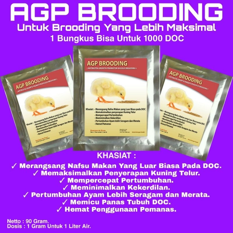 Vitamin Anak Ayam Cepat Besar - AGP BRODING - Agp Brooding - Vitamin Ayam Broiler - SUPLEMEN BROILER